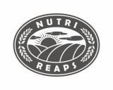 /public/logoimage/1555721294Nutri Reaps Logo 2.jpg